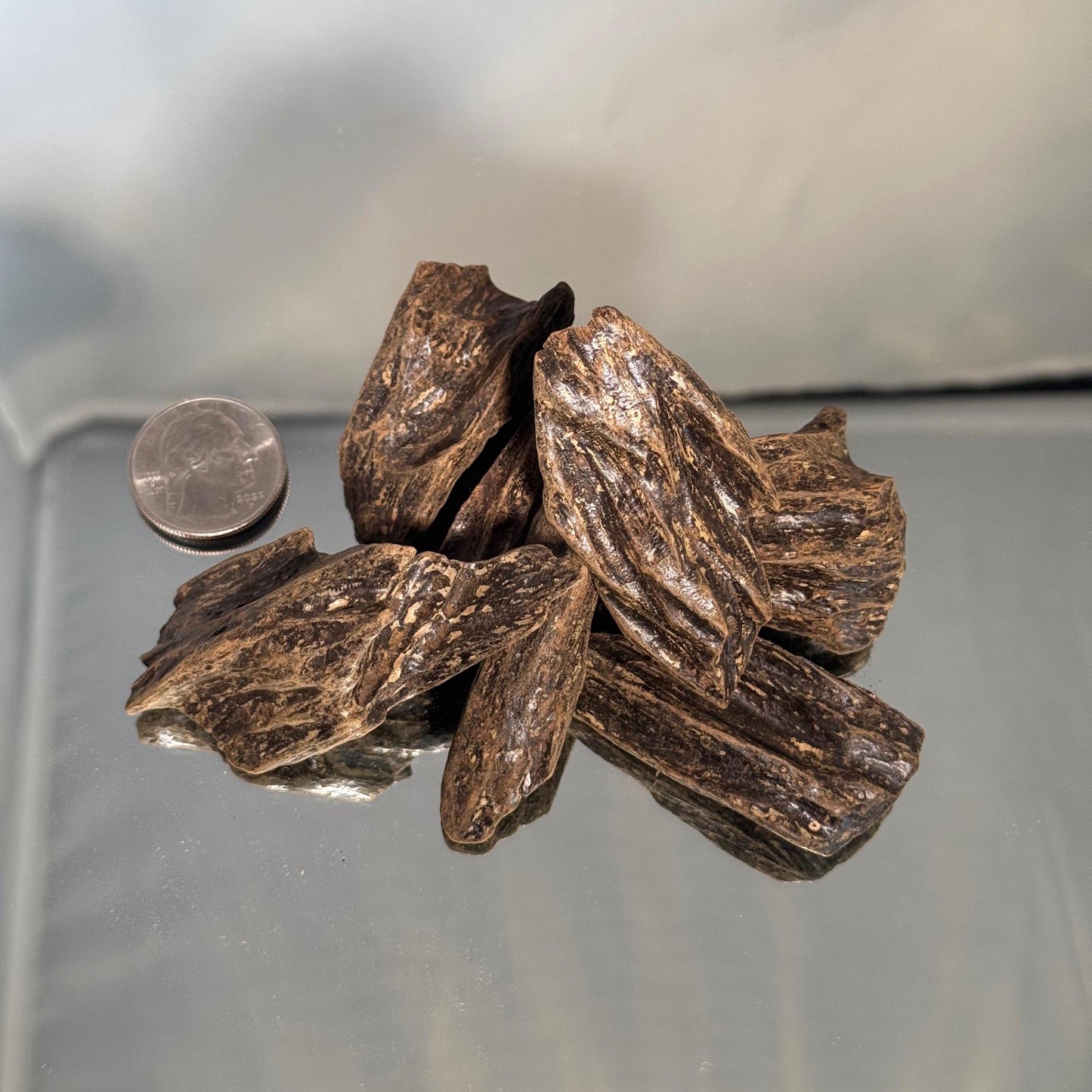 Natural Kalimantan Azrak Oud Quality Affordable Agarwood | 25g Bag